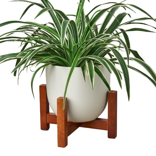 Ceramic Contour Pot with Wood Stand - 7 Inch